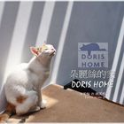 朵麗絲的家 DORIS HOME((新館))