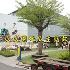 瓜瓜園地瓜生態故事館