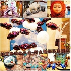 這夏動物趴趴走