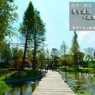 【台中南屯景點】惠宇建設-森青自然共生。生態水景、湖畔森林，IG熱門打卡基地!