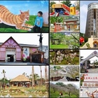 嘉義旅遊懶人包