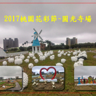 2017桃園花彩節~圓光寺場