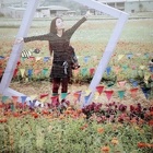 2017桃園花彩節   蘆竹花區