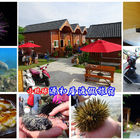 小琉球源和居渡假旅宿