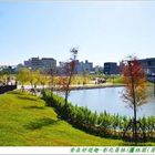 圓林園(員林滯洪池)