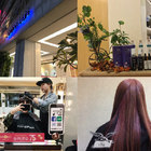 Happy Hair 向上店(向上店)