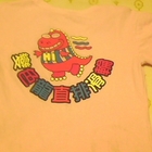 變色龍直排滑輪