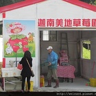 迦南美地草莓園