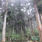 孟宗山莊大飯店