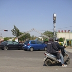 鳳山台糖假日花市