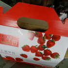 馬拉邦山長泰高山草莓