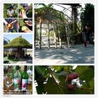 劍門生態花果園休閒農場