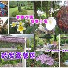 紫色的家休閒露營區