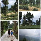 雲河休閒露營區