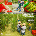 吟詩綠曲休閒園區