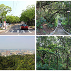 新竹十八尖山登山步道