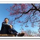 新北市政府苗圃