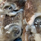 茂豐魚行(湧蓮寺分店)