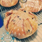 松鼠樂園手作烘焙