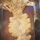 魷炸物 轟炸大魷魚