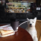 義大烘焙坊(南屏店)