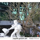 花語餐廳-金品茶語(淡水雲門舞集園區內)