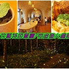 竹青庭人文飲食空間