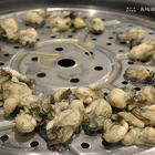 鼎陶蒸 蒸汽海鮮鍋物