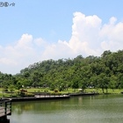 阿信手工魚丸餛飩
