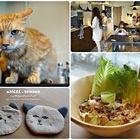 Walk and Taste 漫嚐‧咖啡