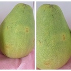 阿彬果園文旦柚