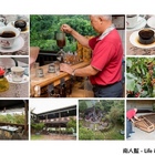 東香貓咖啡園區