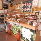 高原村長天池咖啡園 村長莊園咖啡