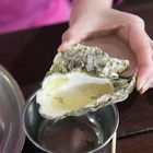 菜園情人碼頭-巴比Q