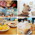 Alpha Bakery 阿法甜點工作室