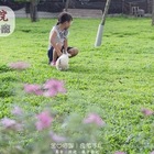 蕭家大院兔子寵物餐廳