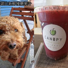 Canopy卡諾比新鮮慢磨果汁