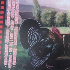 超級雞嘉義火雞肉飯