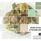 小公主的棒棒糖