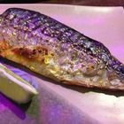 醬好吃碳烤啤酒屋