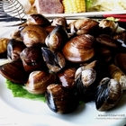 錢都日式涮涮鍋(萬隆店)