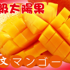 Mola.tw - 外銷日本的頂級愛文芒果