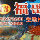 福哥海產小吃部