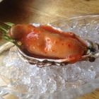 東贏平價日式海產料理