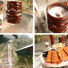 烏來泰雅馬告咖啡