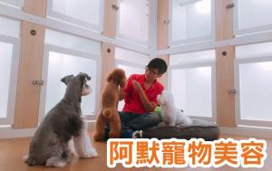 台北寵物美容-寵物美容證照保證班｜阿默寵物美學